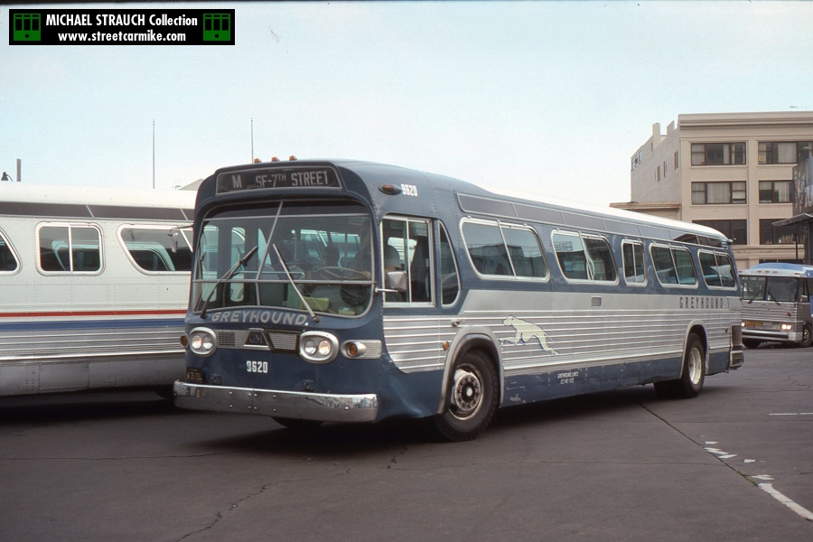 Gmc New Look Buses